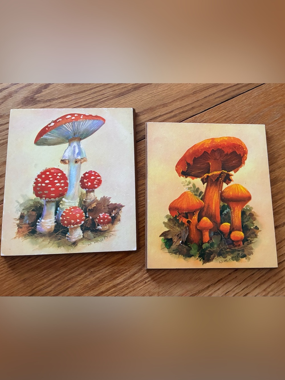 W.M. Otto Vintage Mushroom Wood Plaques Set of 2 Red & Orange